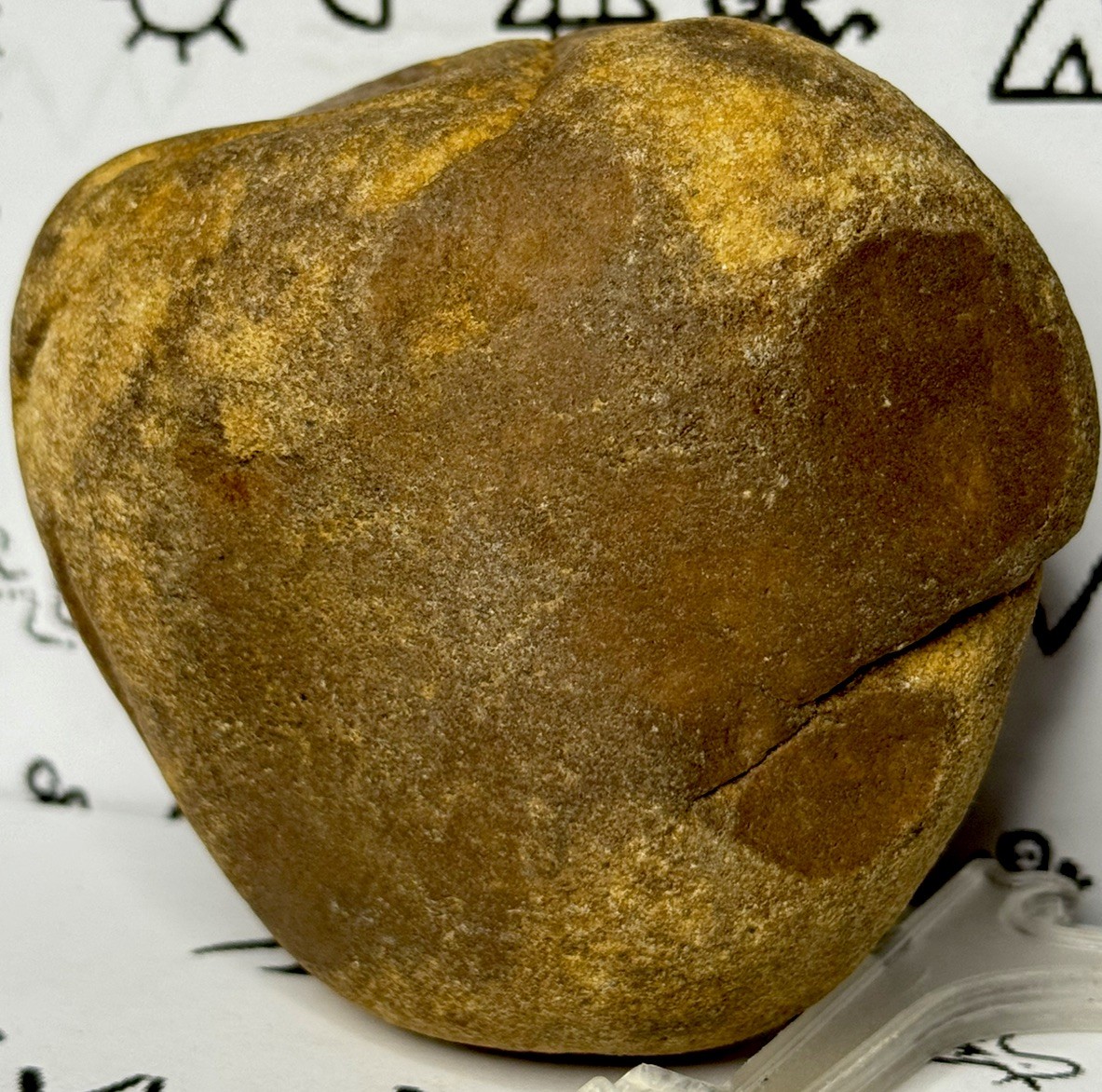 Native American Indian Authentic Artifact Stone Carved Effigy, 1 lb 10 oz • VA