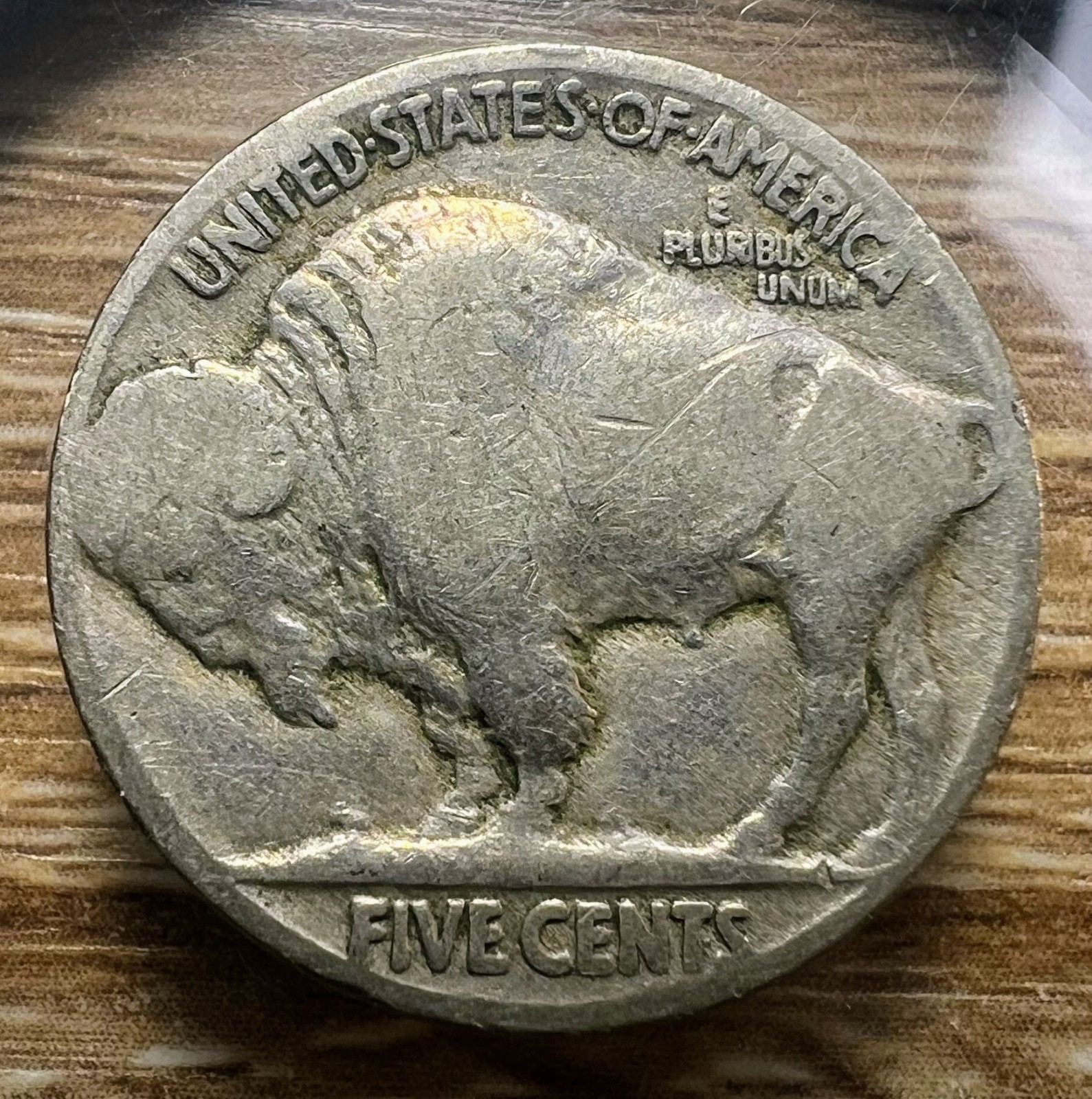 1919-P Buffalo Nickel - Actual Coin Shown - Free Shipping & Tracking INV#114