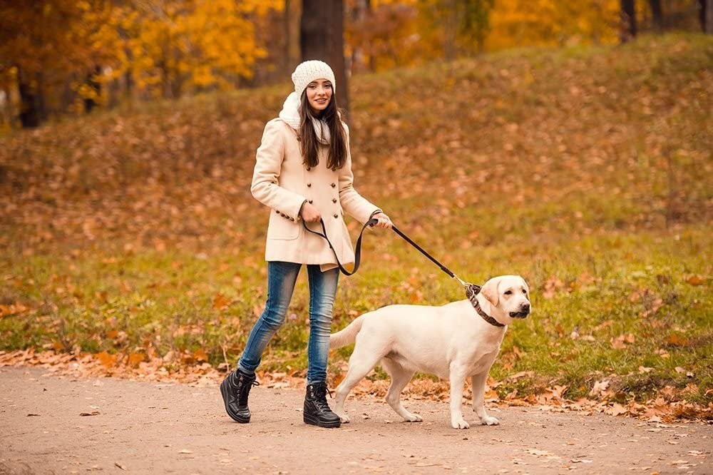 HotHands Toe Warmers 20 Pair