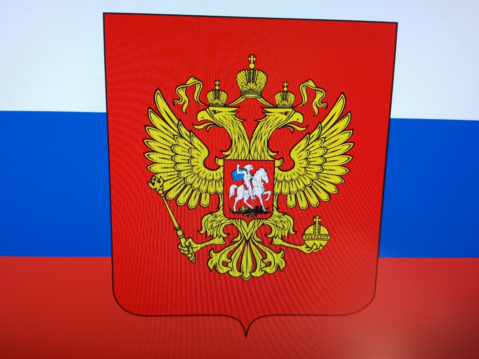 Two foreign travel passports belonging to a female Russian citizen.