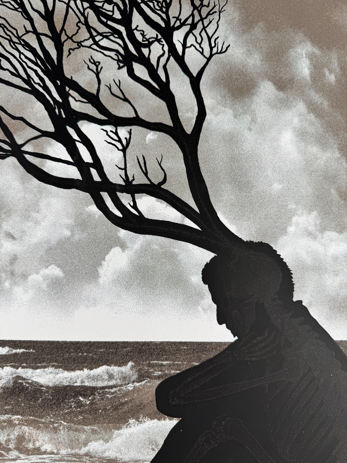 Bon Iver 2012 Emek Santa Barbara Signed Screenprint Concert Poster AP