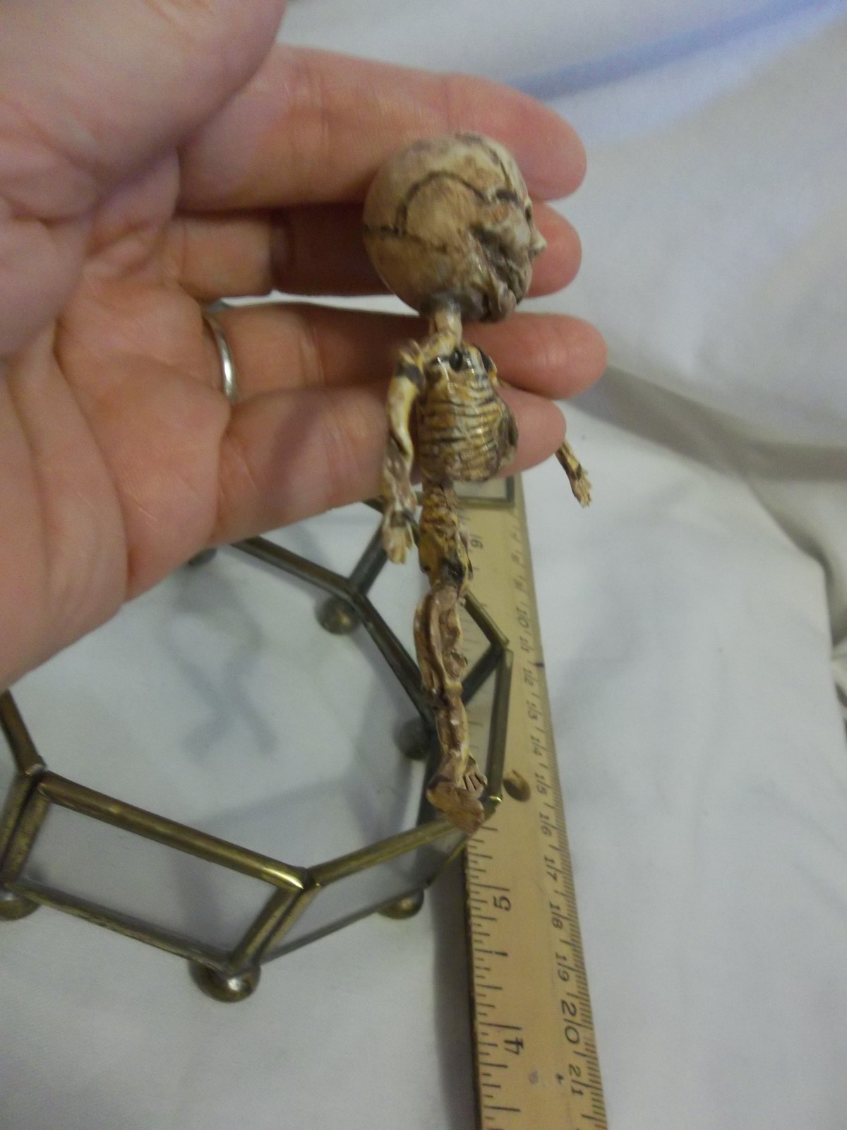 12 Week Fetus/Fetal Skeleton Curvature of Limbs Oddity Curiosity Sideshow Gaff