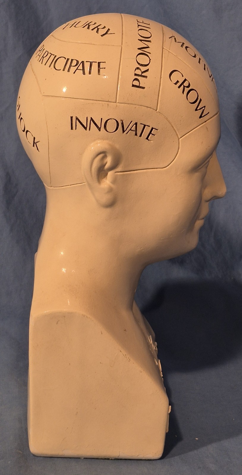 Vintage 11" Phrenology Bust / Head Statue, Chalkware (?), Scientific Psychology