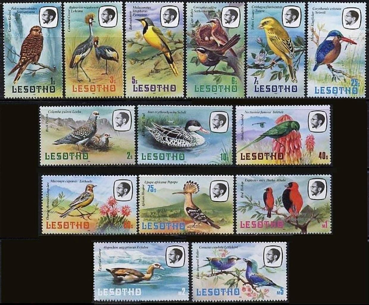 LESOTHO 1981 BIRDS MNH 💲FREE SHIPPING💲