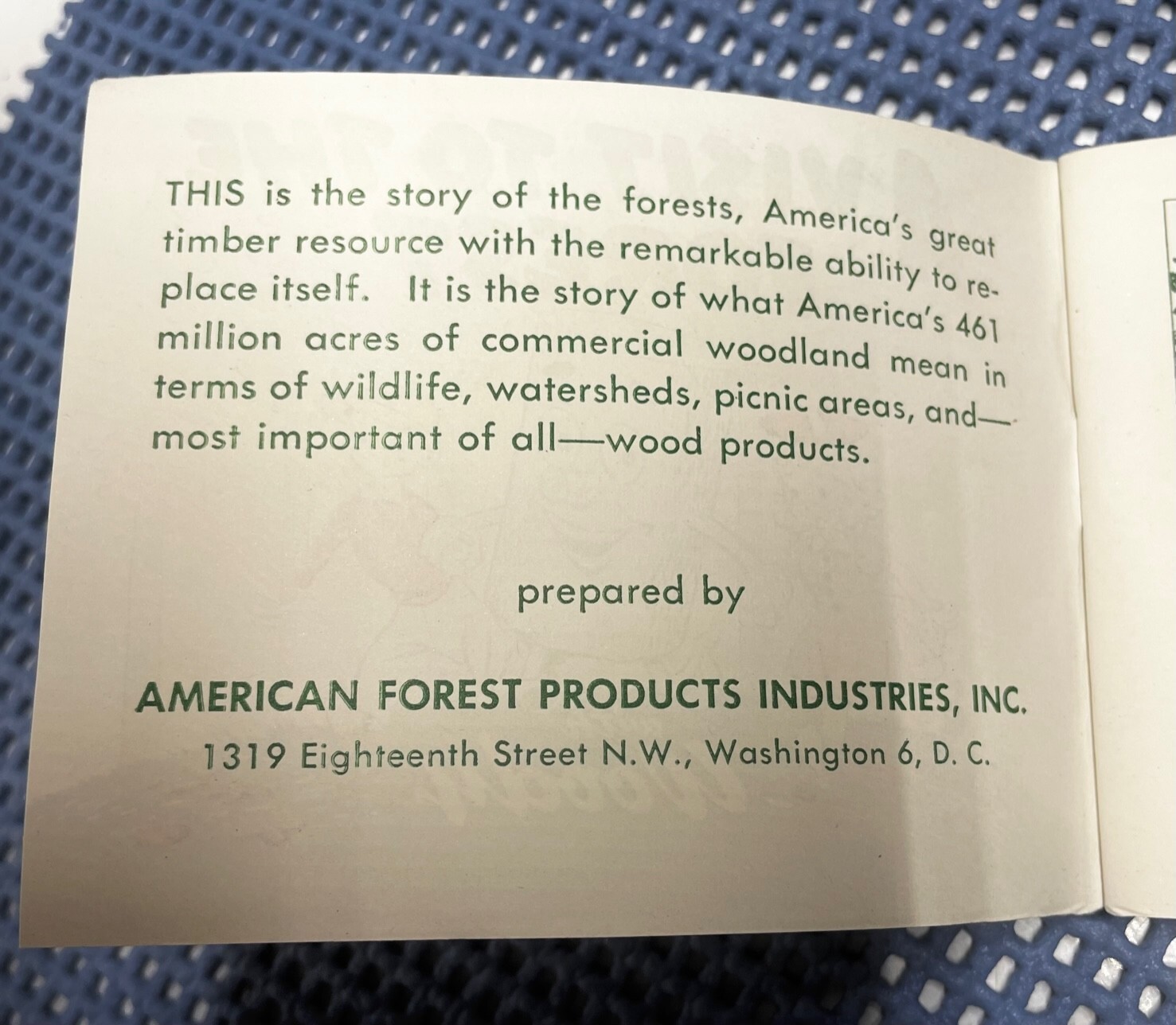 Michigan WOODYs "A VISIT TO THE FOREST" Booklet NOS 1940s-50s Smokey the Bear