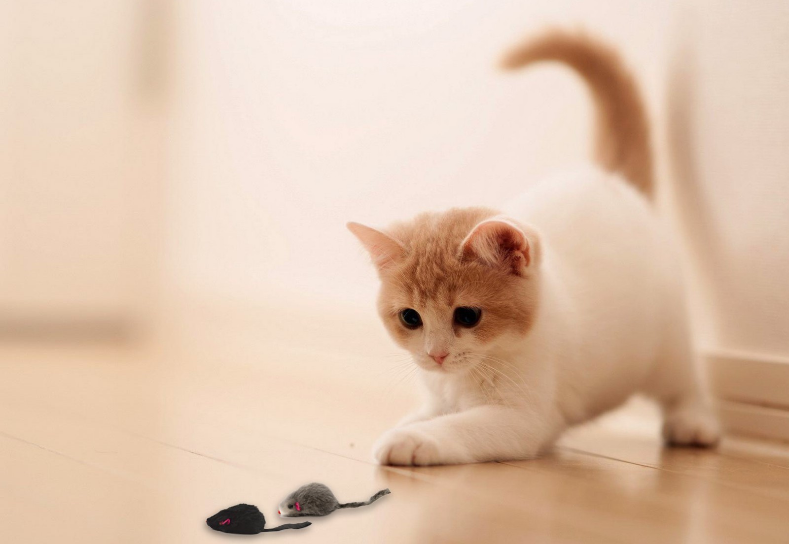 20 Furry Mice with Catnip & Rattle Sound Made of Real Rabbit Fur Cat Toy Mouse