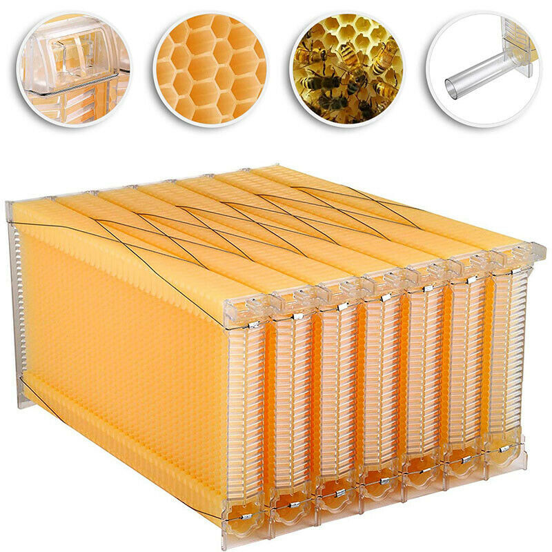 Wooden Beekeeping Beehive House +7pcs Latest Auto Honey Bee Hive Comb Frames US