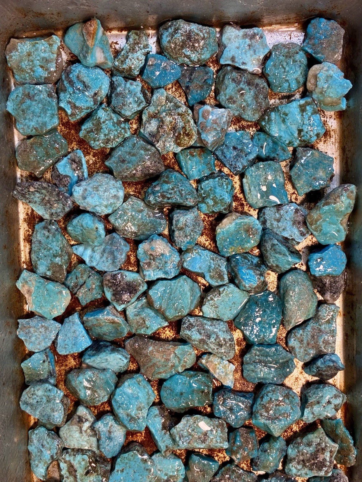 1 Lb. Ithaca Peak, Real Turquoise! Electric blues! High in matrix. ❤️‍🔥3 Left!