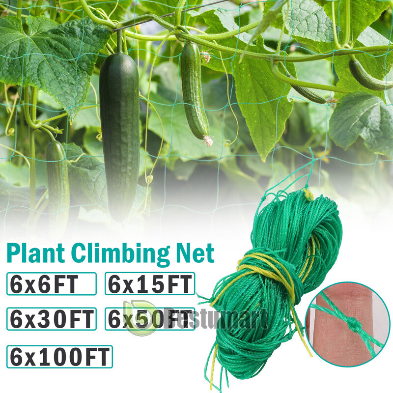 Garden Plant Climbing Net Trellis Netting Mesh Support Fruits Vine Veggie Bean