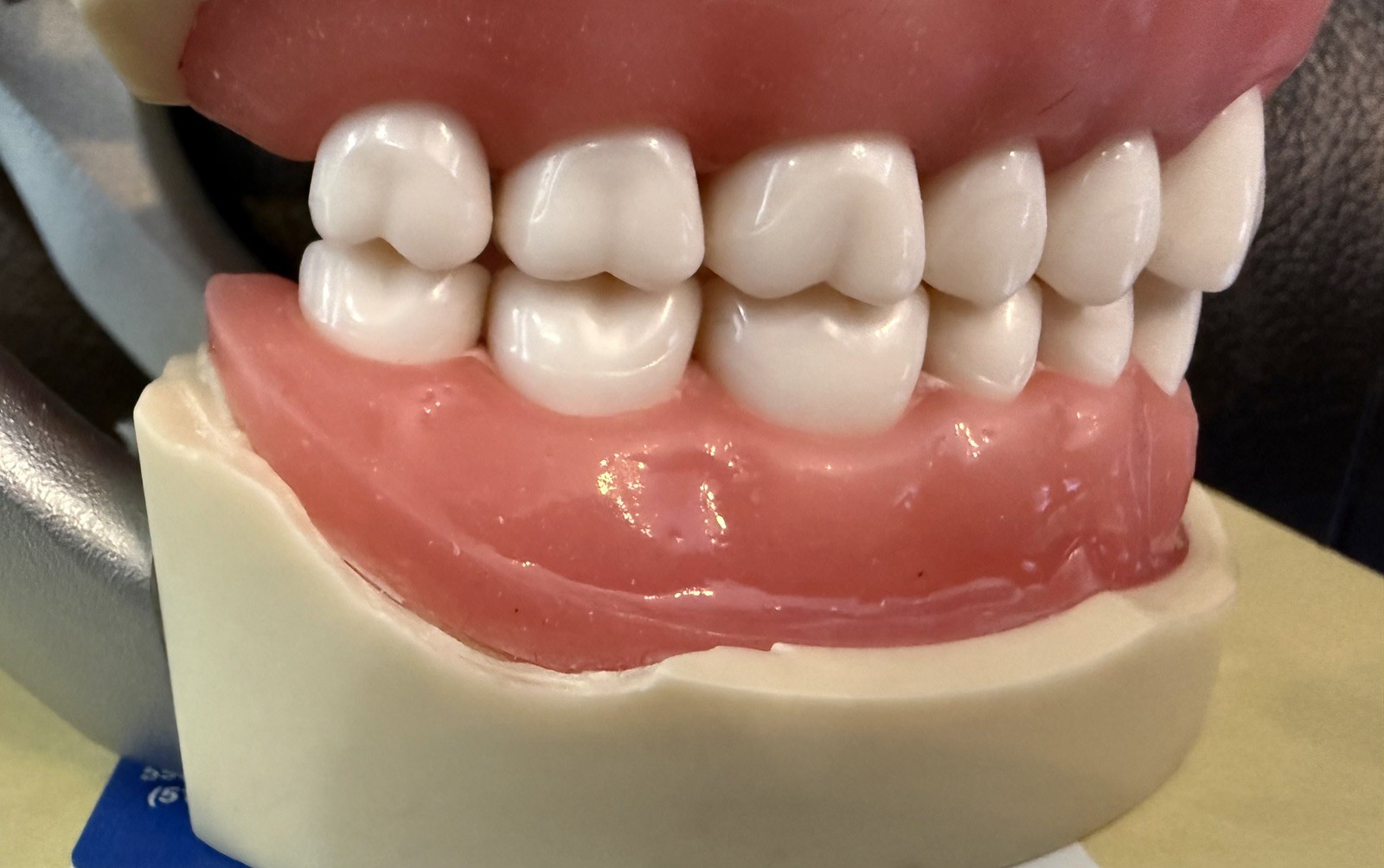 NISSIN PRO2001-UL-UP-DPM-32 Dental Model Kilgore Typodont Teeth