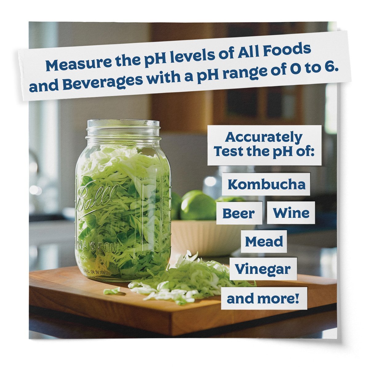 Fermentaholics Instant Read pH Test Strips Dispenser pH Strips pH Range 0-6