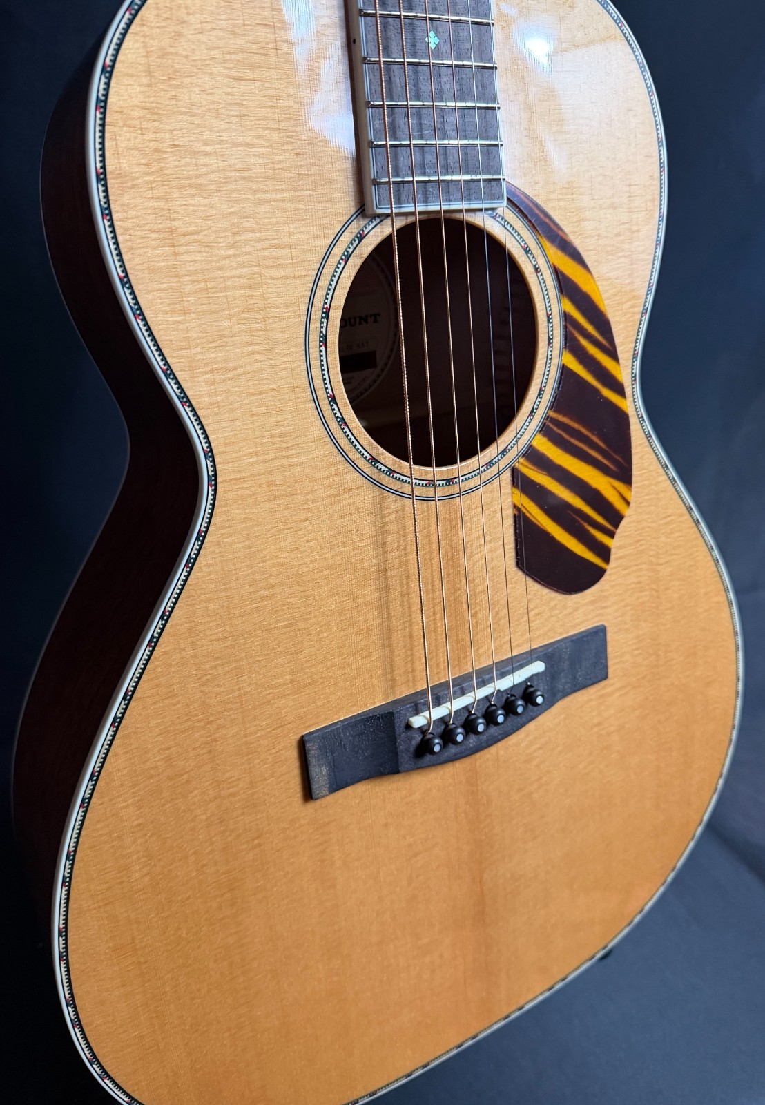 Fender PS-220E Paramount Parlor Acoustic-Electric Guitar Gloss Natural (742)