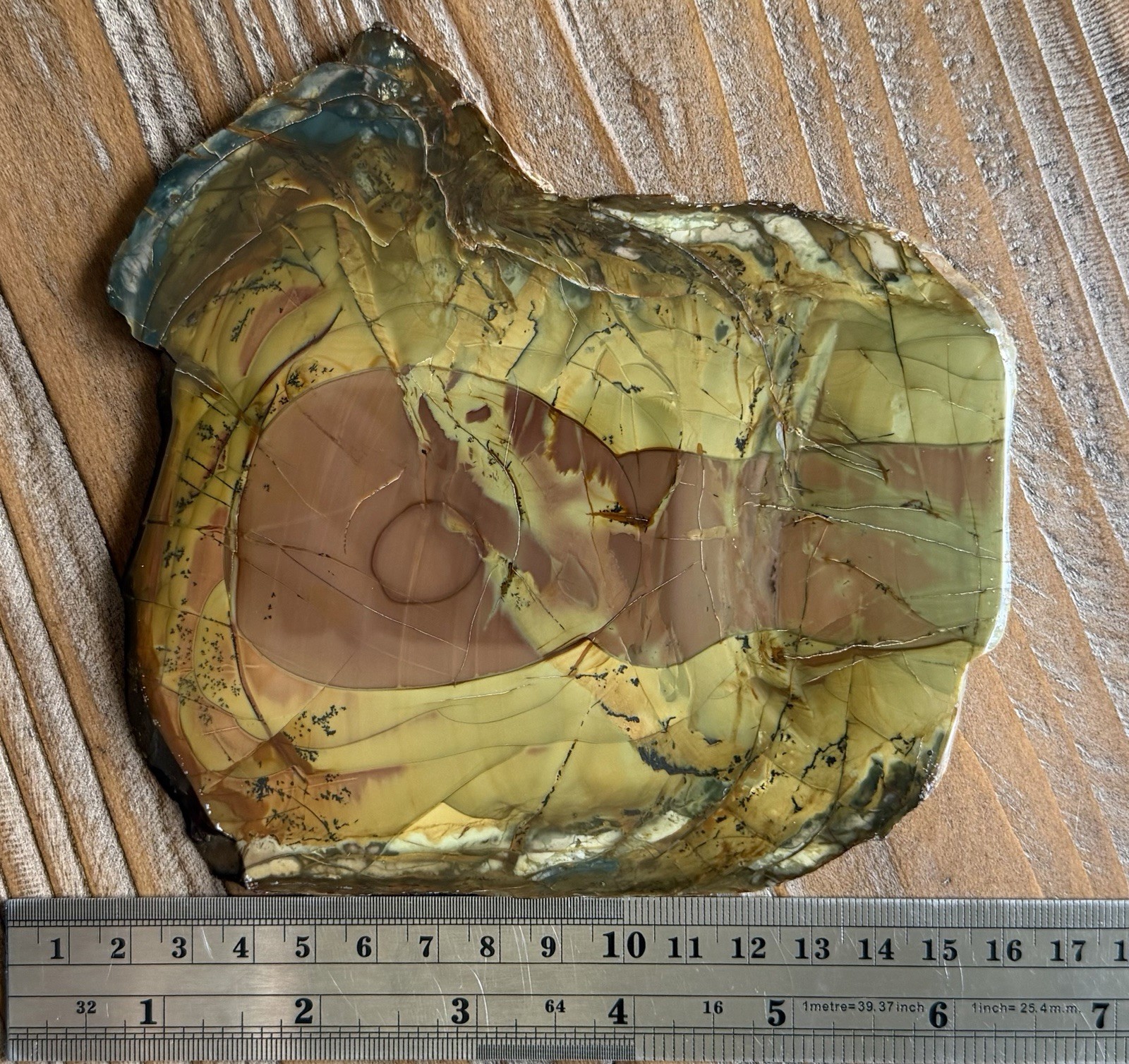 Colorful Morrisonite Jasper Polished Slab Jake’s Place Orby Dendrites Oregon 7oz