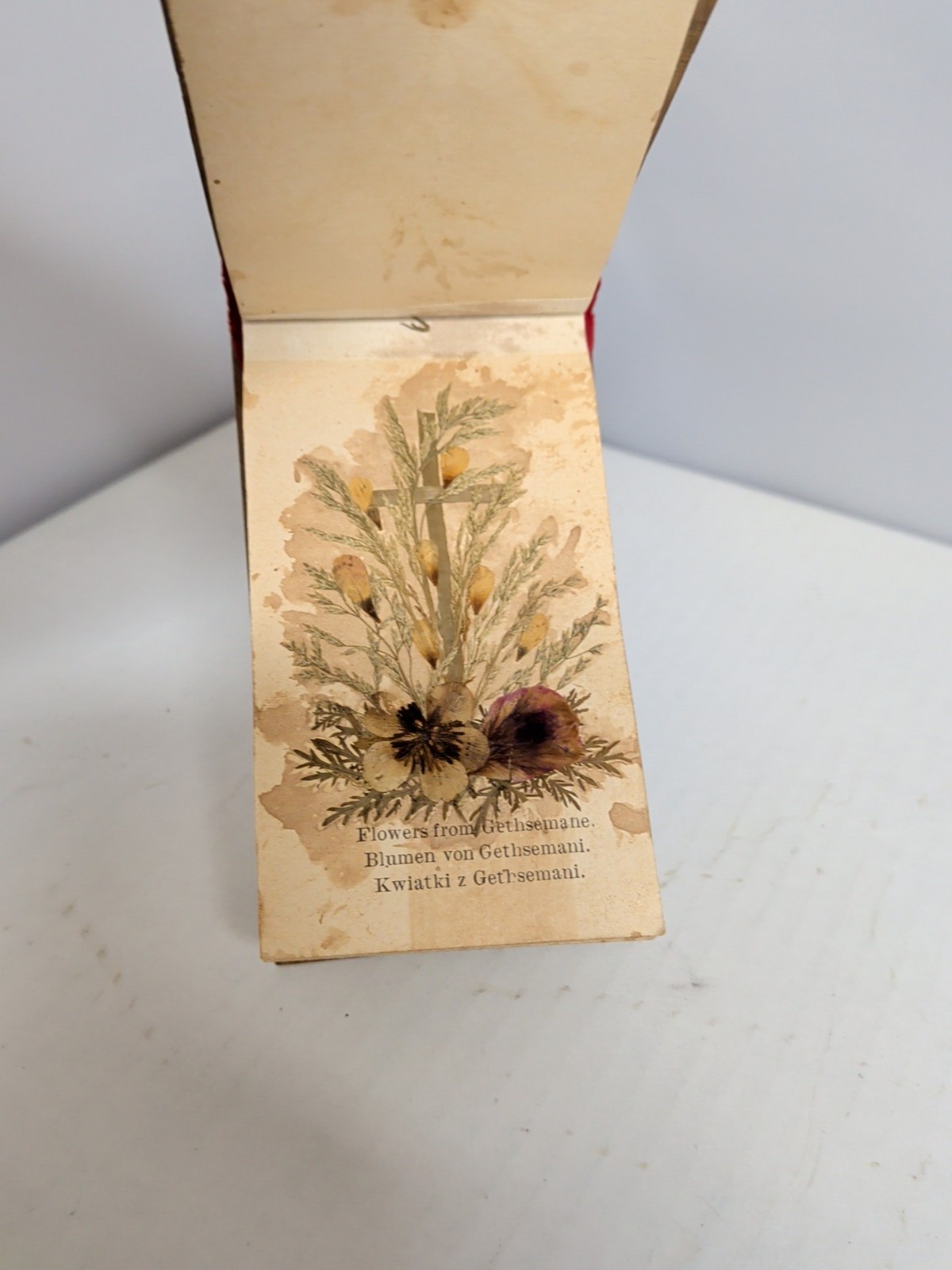 ANTIQUE Pressed Dried FLOWERS FROM ISRAEL Book OLIVE WOOD CARVED COVERS C4