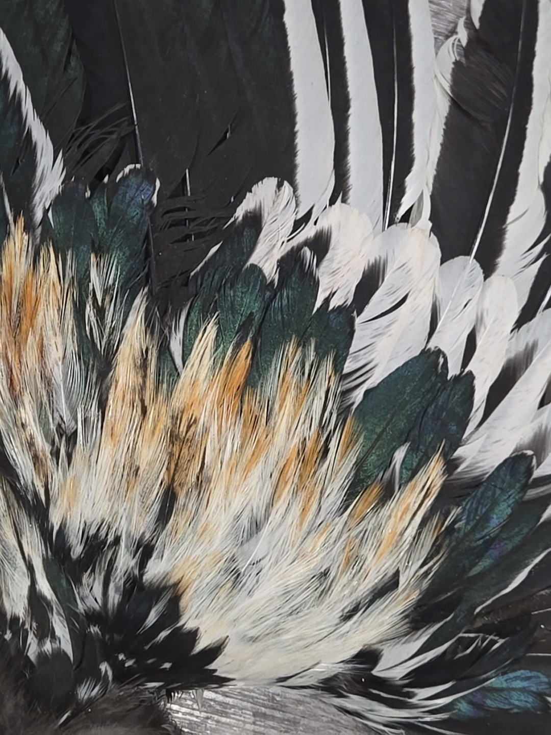 Cream Chicken Rooster Wings Craft Bird Fly Tying Feathers Taxidermy Material