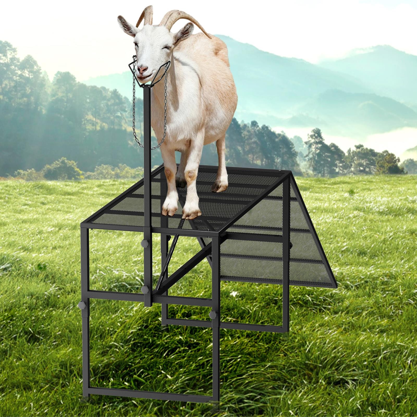 Goat Milking Stand, Adjustable Milking Stand with a Ramp for Sheep and Goats