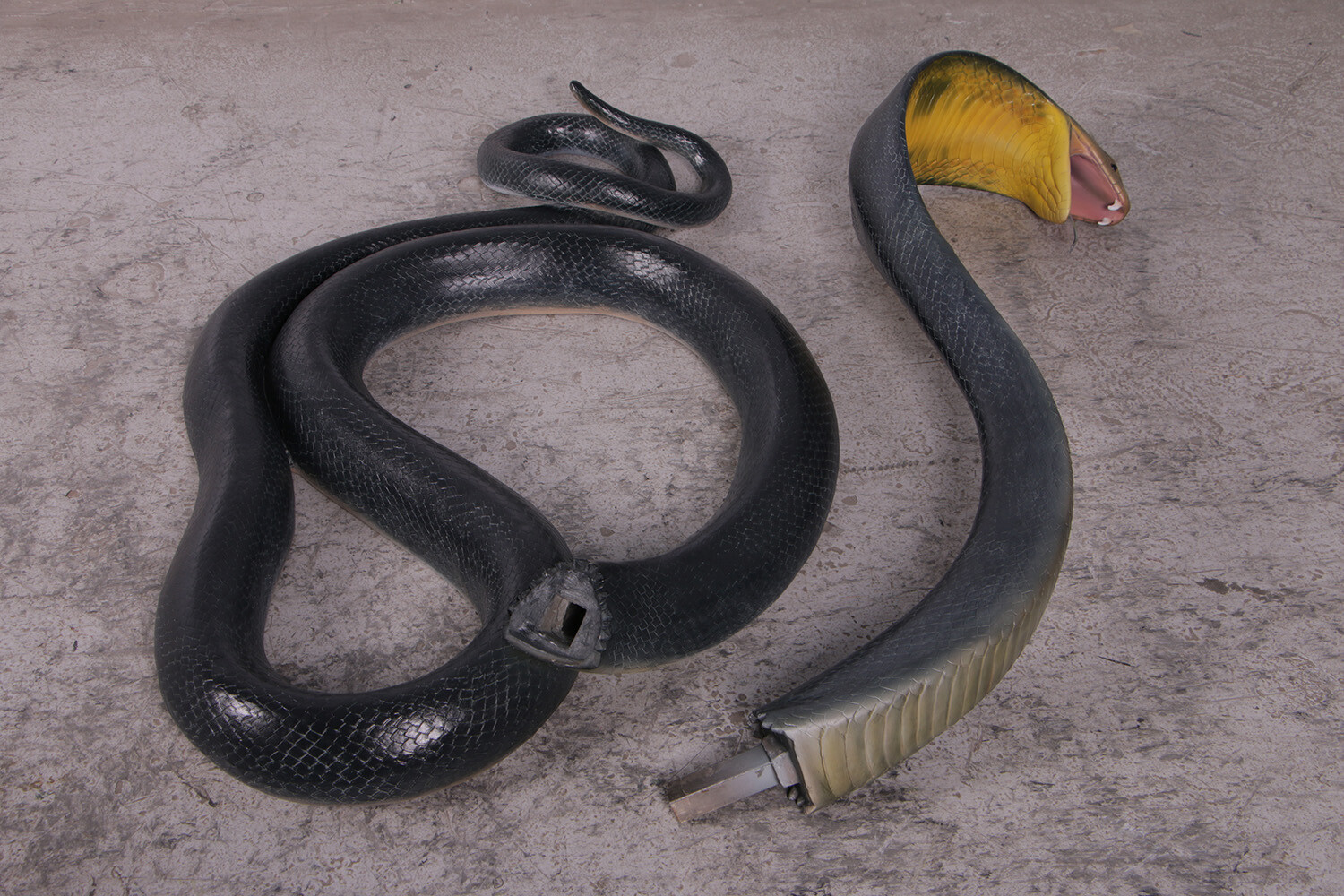 King Cobra Snake Life Size Resin Statue Jungle Decor Safari Reptile Display Prop