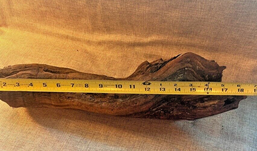 18" x 5" Redwood Driftwood Organic Craft Aquarium Rustic Boho Natural Wood