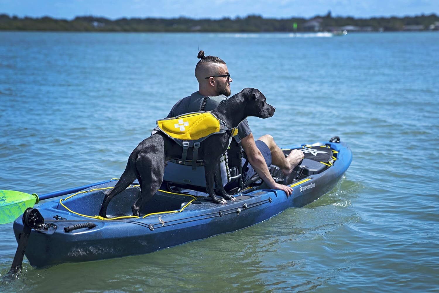 Perception Kayaks Pescador Pilot 12 Sit on Top Pedal Drive Fishing Kayak Dapper