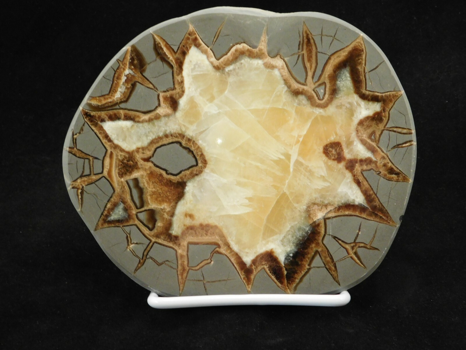 Easel Display Stand Adjustable White Vinyl Coated Medium Size