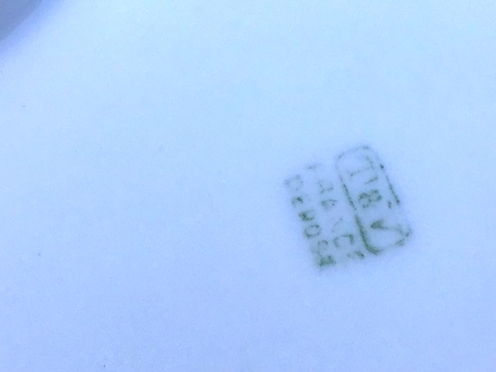 Limoges France hand painted charger Tressemanes & Vogt 1880s-Early 1900s