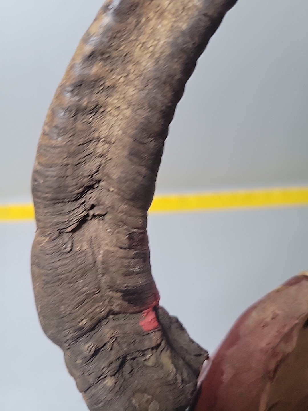 Vintage hand carved & painted wood devil mask Mexico?