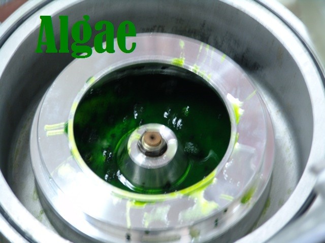Extreme Centrifuge 6000 RPM - 120V