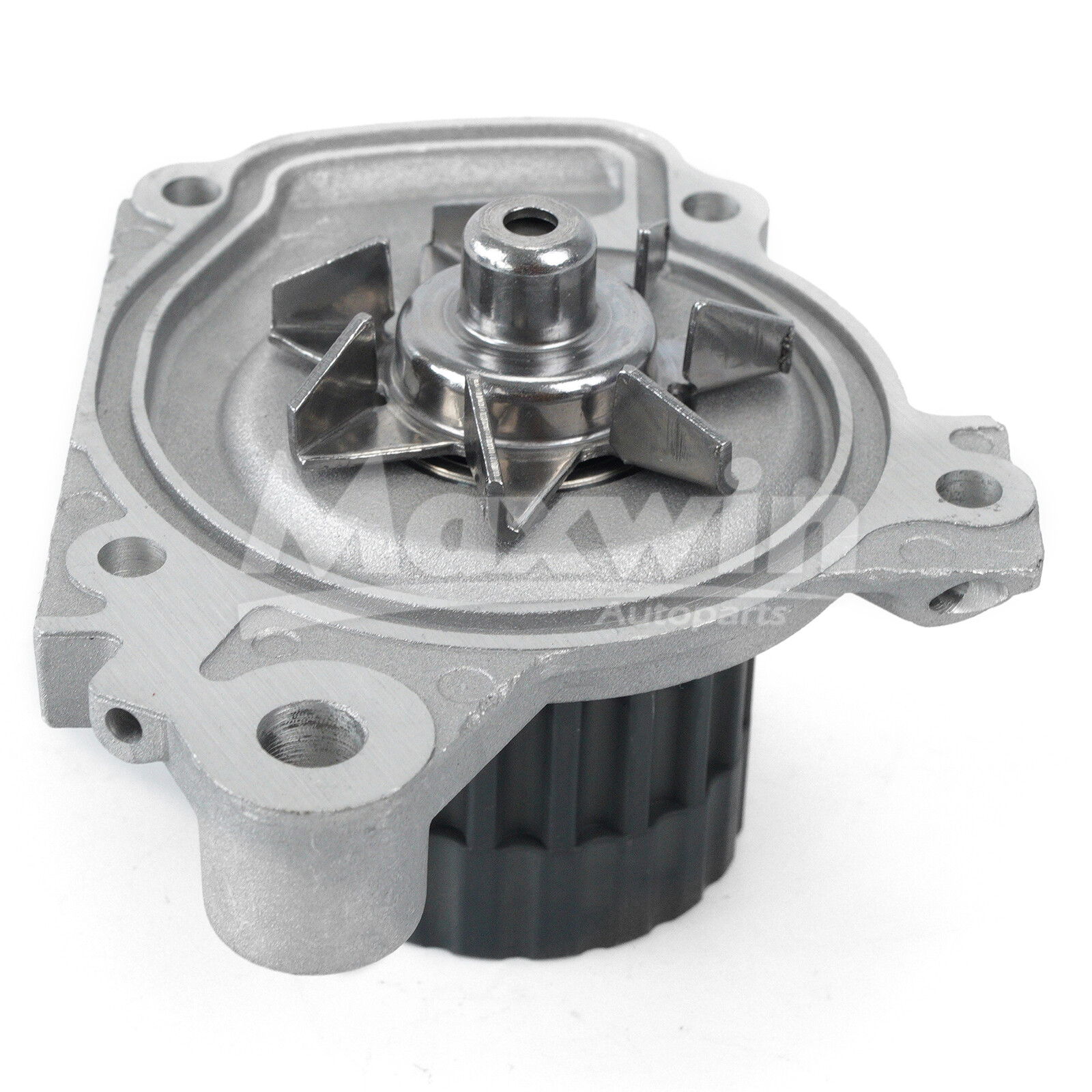 Timing Belt Kit Water Pump Thermostat Fit 96-98 Honda Civic 1.6L