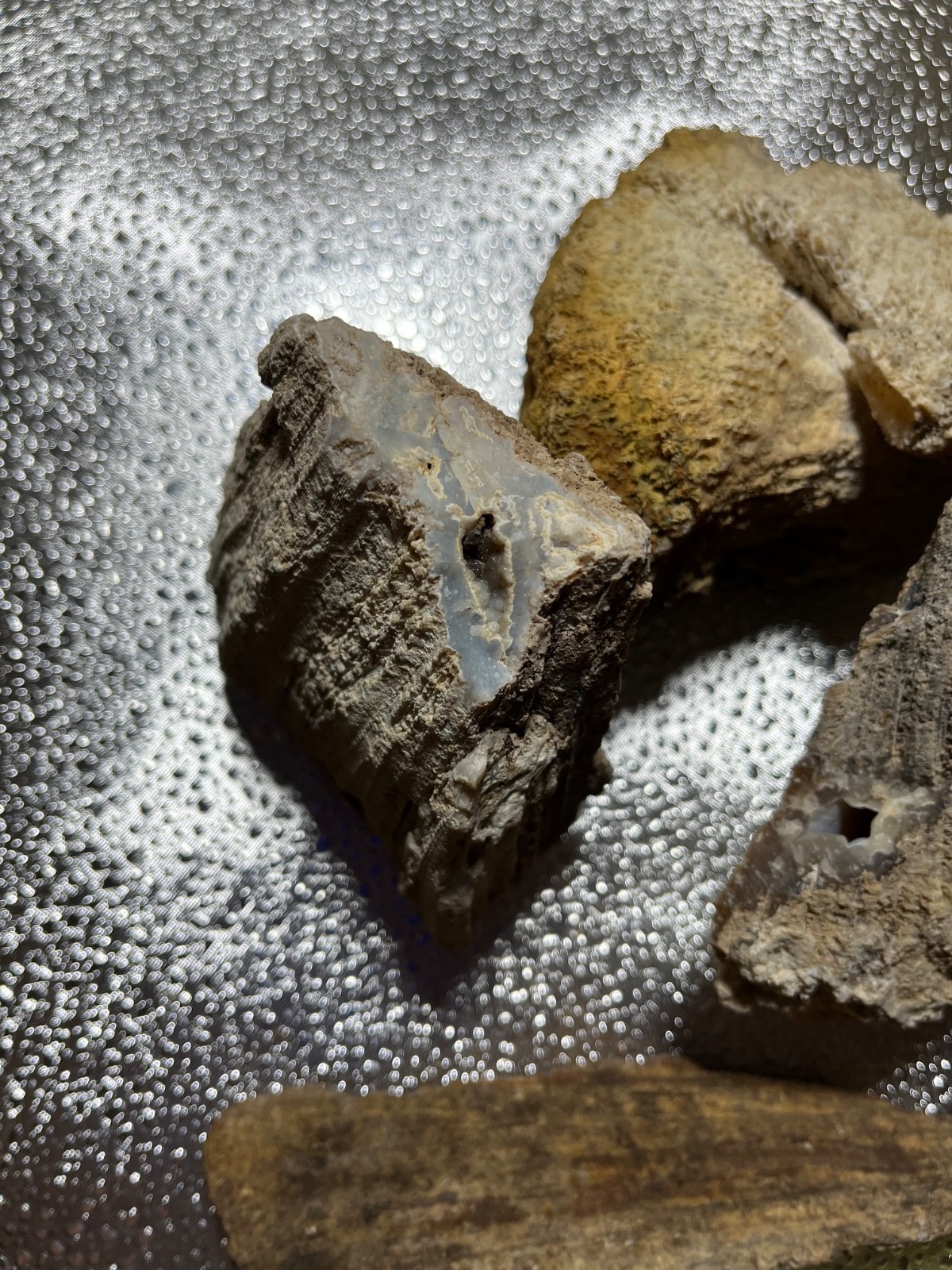 AGATIZED CORAL FLORIDA AGATE GEODES LOT 3 lb 5 oz 4 LARGE FOSSILIZED CORAL GEODE