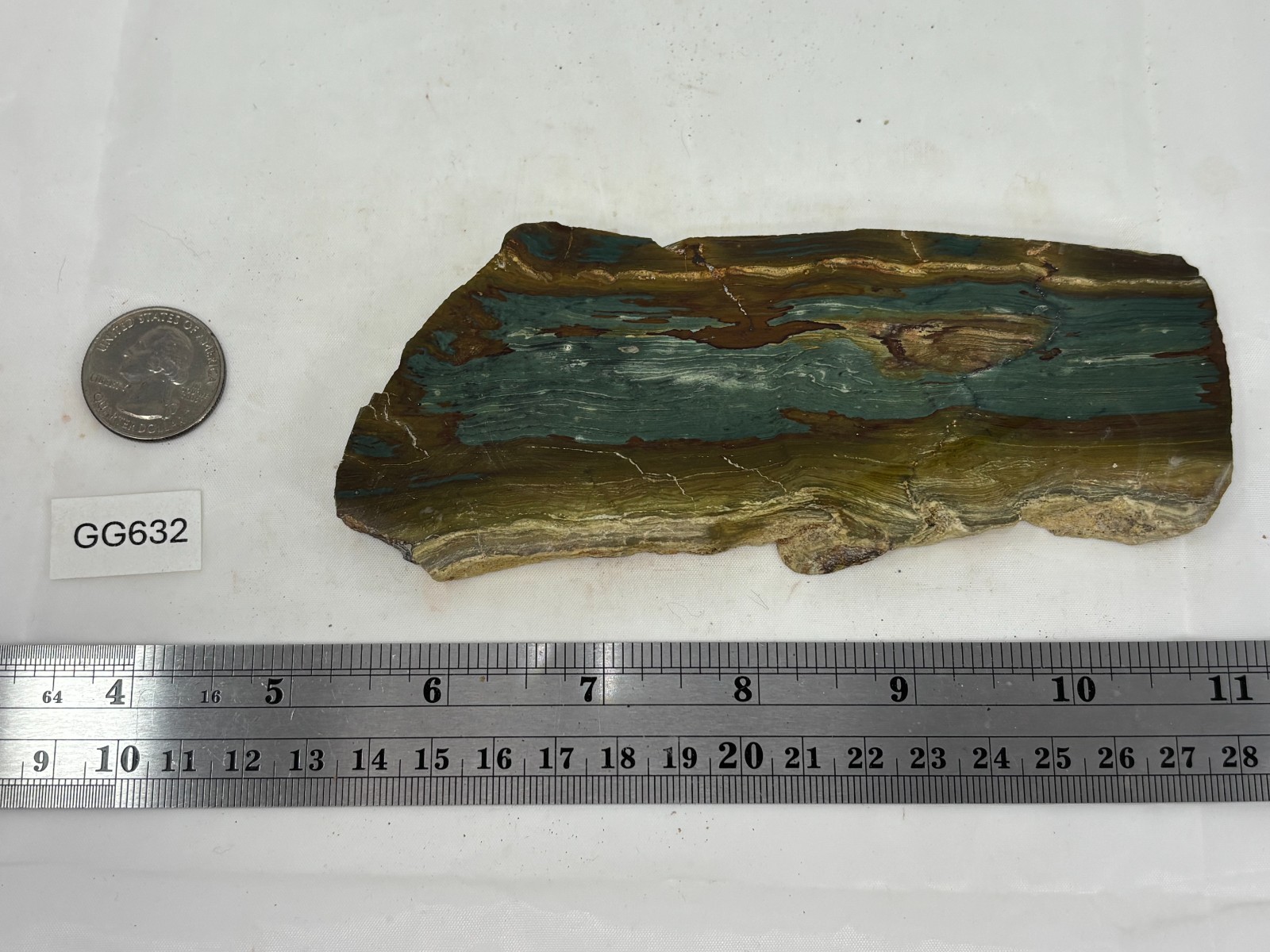 Gary Green Caldera Freedom Jasper Slab Cabbing Lapidary Combo Ship Avail