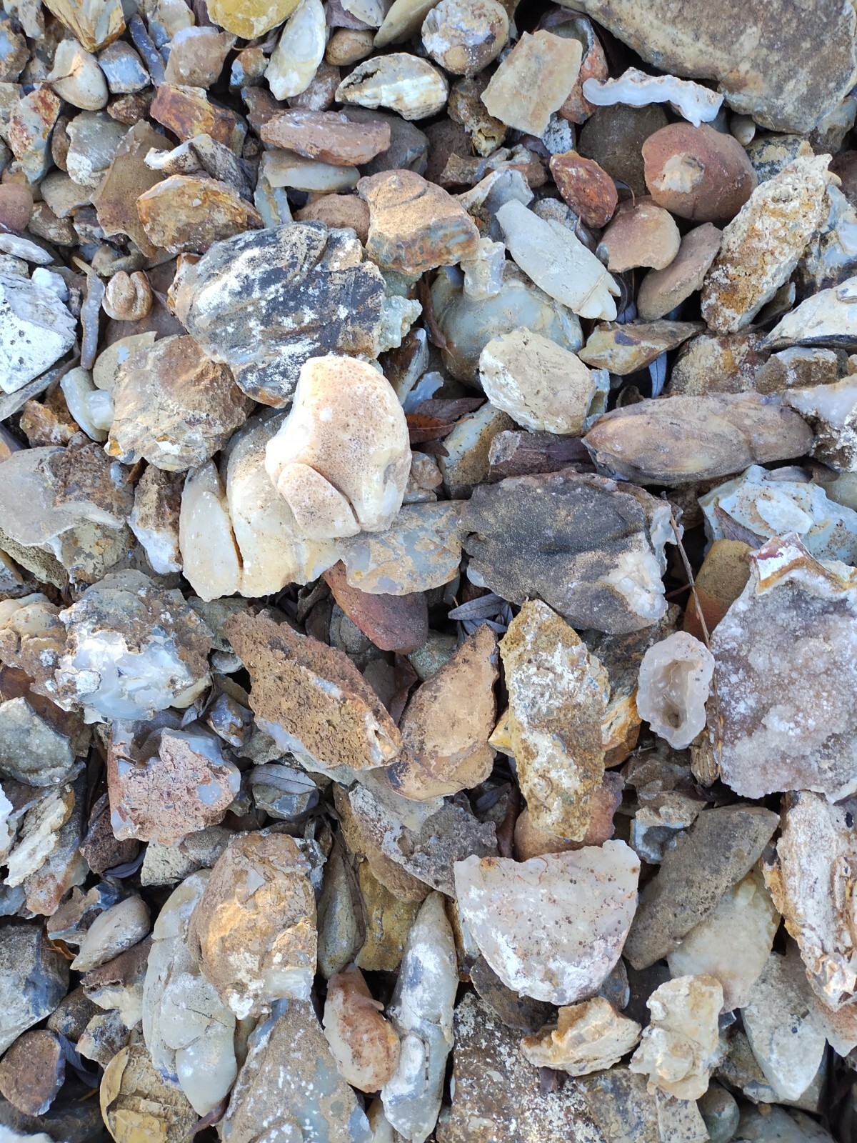 Agate Nodules Nicknamed Potato Agates 10 Pound Lot, Some w/crystals, some solid