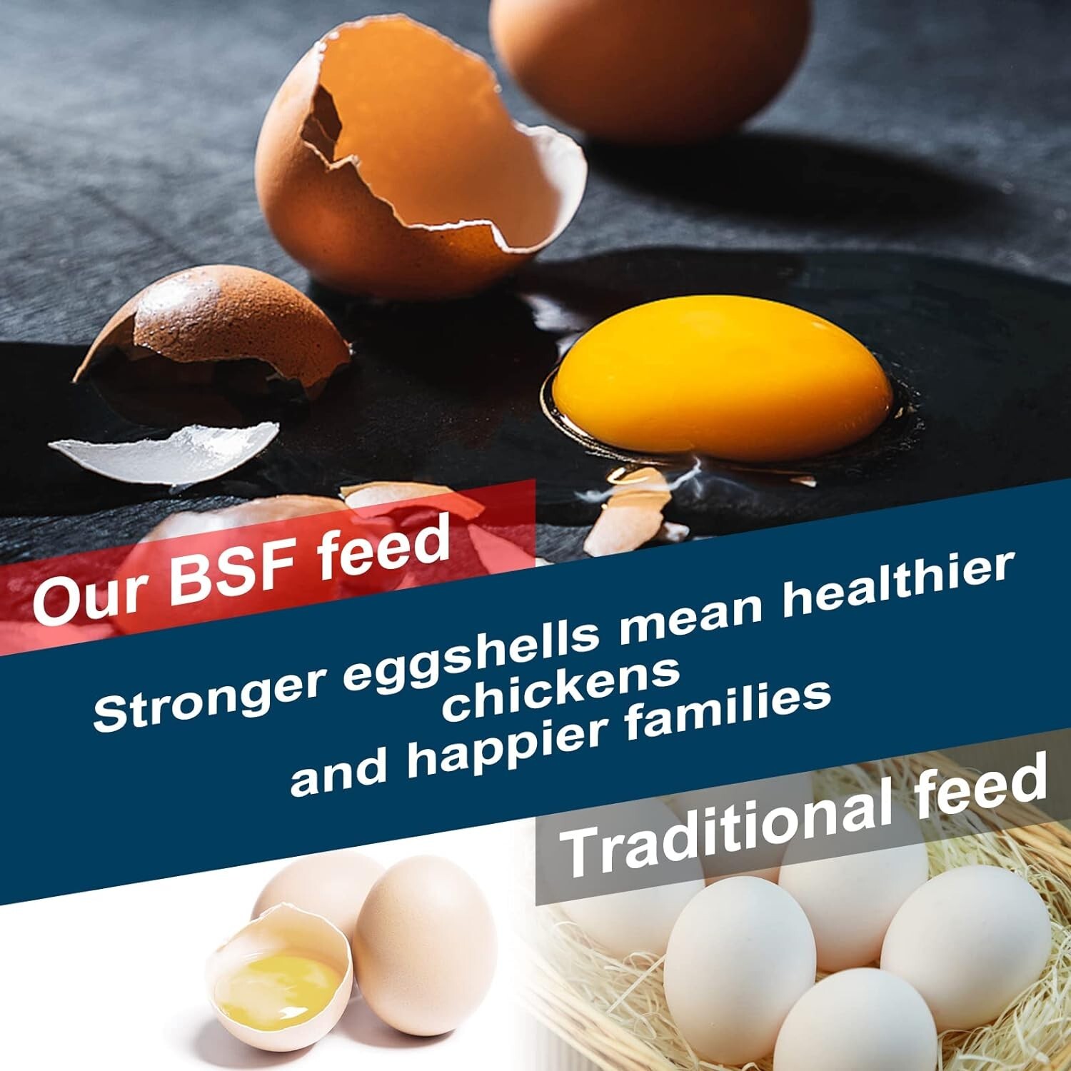 Black Soldier Fly Larvae for Chickens, 100% Natural Premium Quality Non-GMO