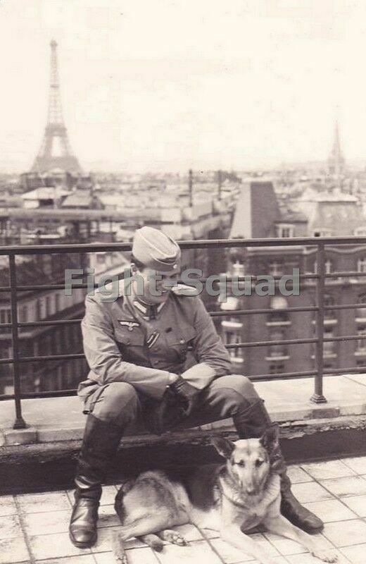 WW2 Picture Photo German soldier with dog in Paris 1621