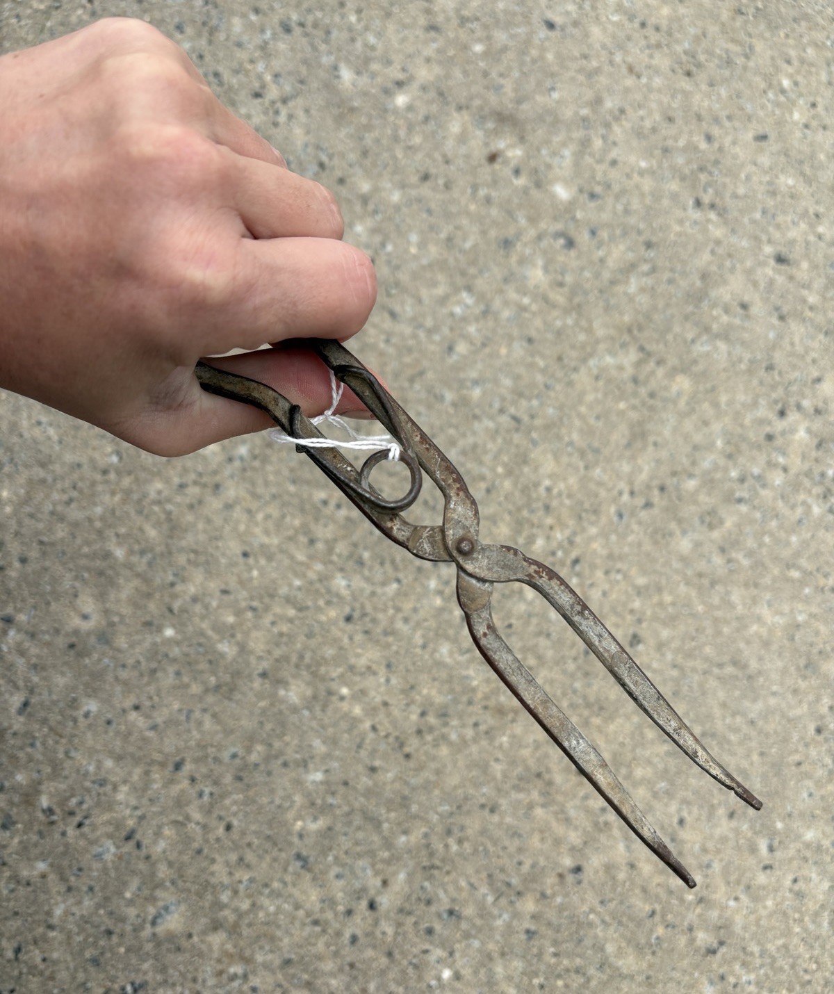 Antique Primitive Crucible Tong Lab Tool Vintage Science Pinchers Rustic Decor