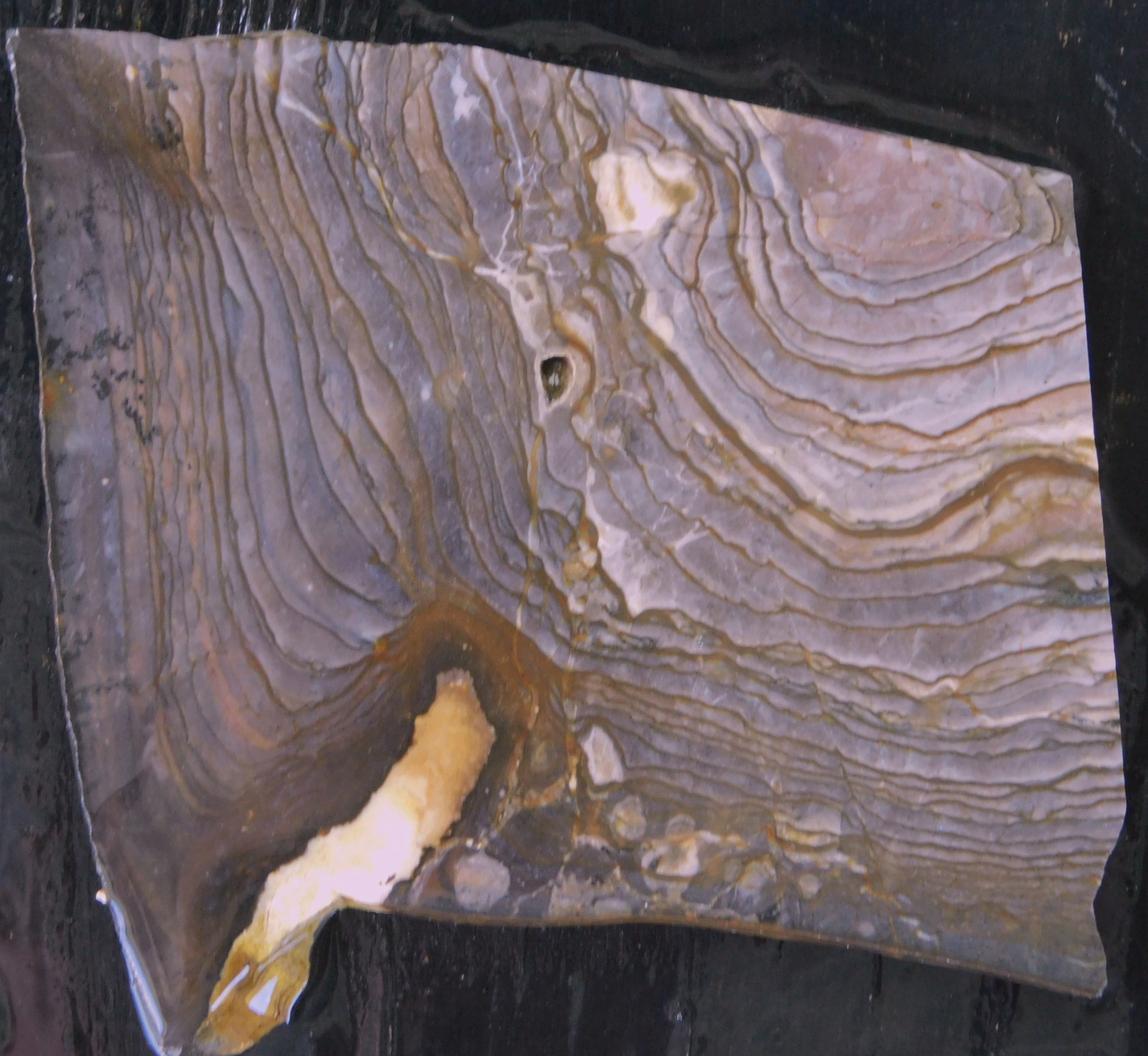 Biggs Jasper lapidary cabbing slab 5mm thick