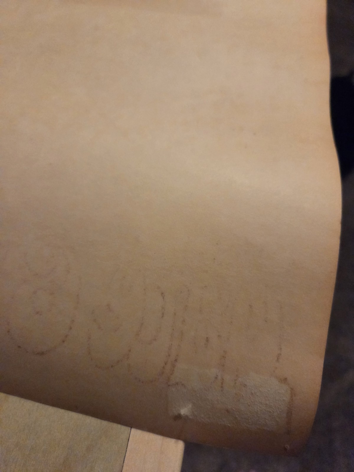 Big Brother Janis Ark Sausalito Poster AOR 2.309 1967 2nd Print RP-2 BG FD