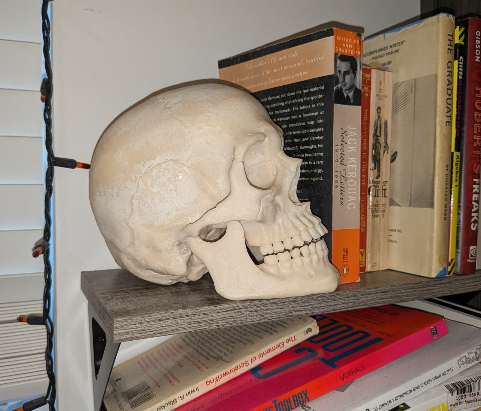 Human Skull Replica- Off White Resin Unpainted -  7 In Tall 1 Ibs