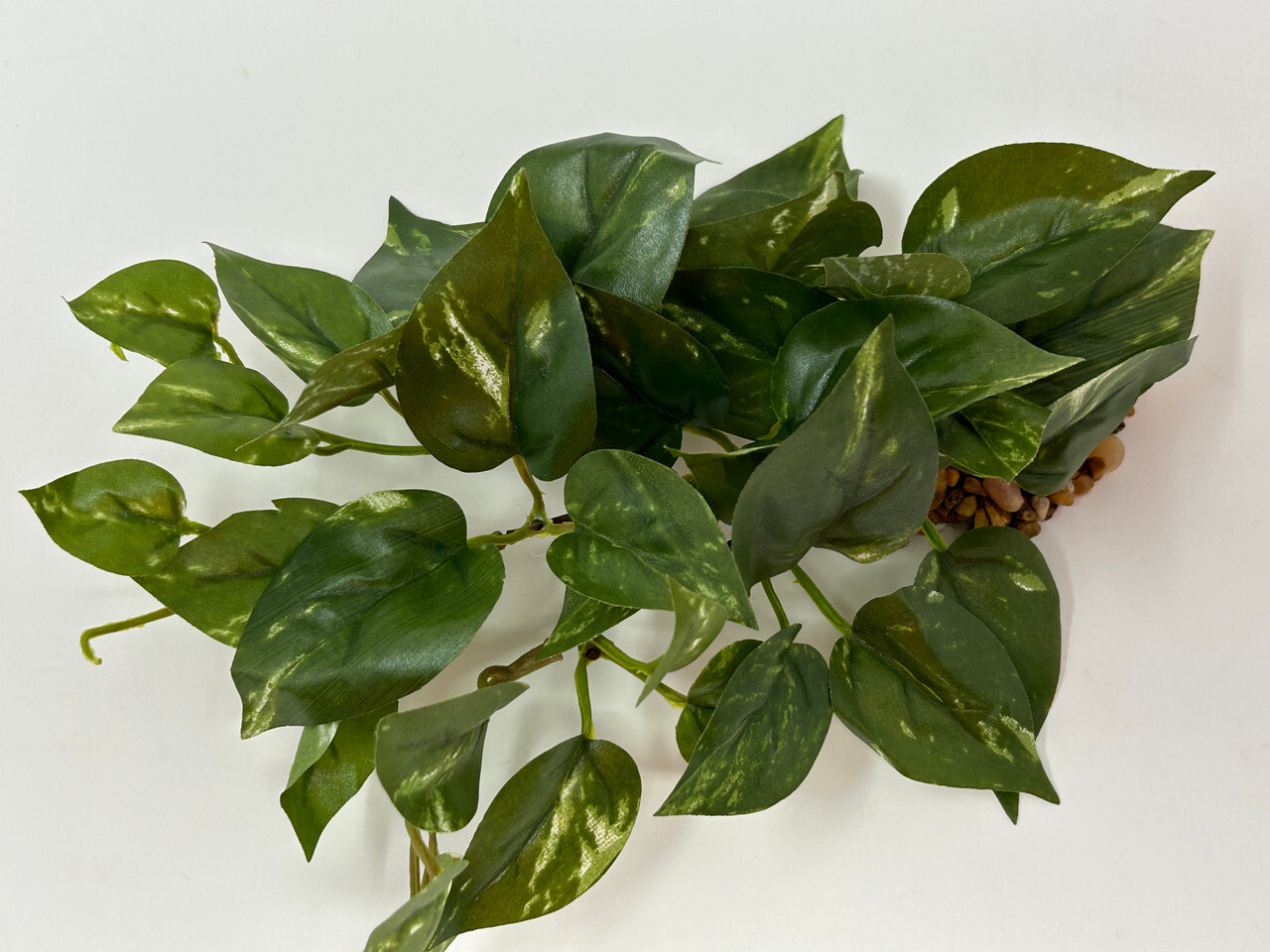 9" LONG, LOW Green/White POTHOS Bush, soft silk aquarium plant, stone base
