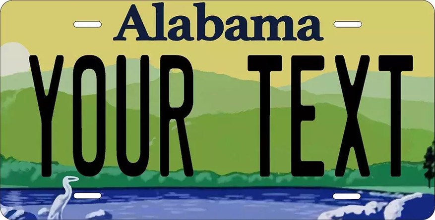 Any State License Plate Personalized With Your Text Car Novelty Plate Custom
