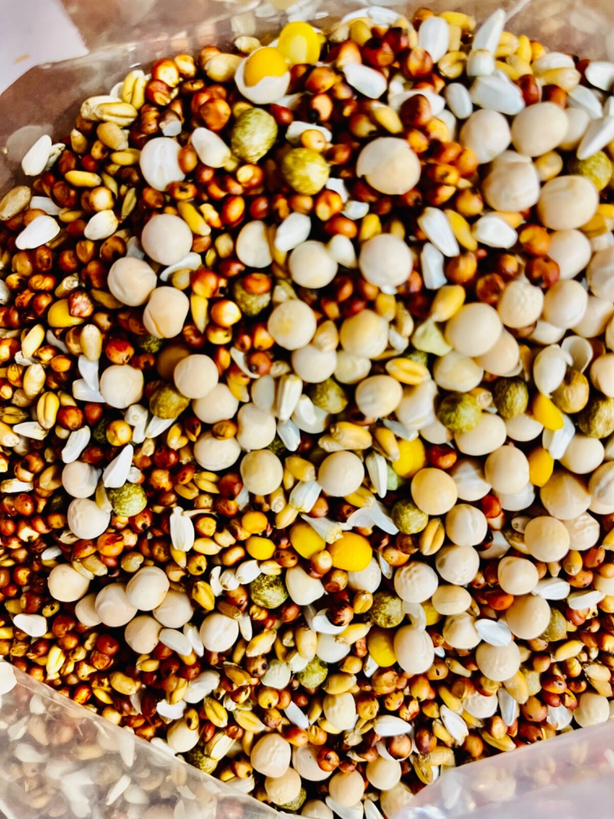 35 Pounds Pigeon Food PKF