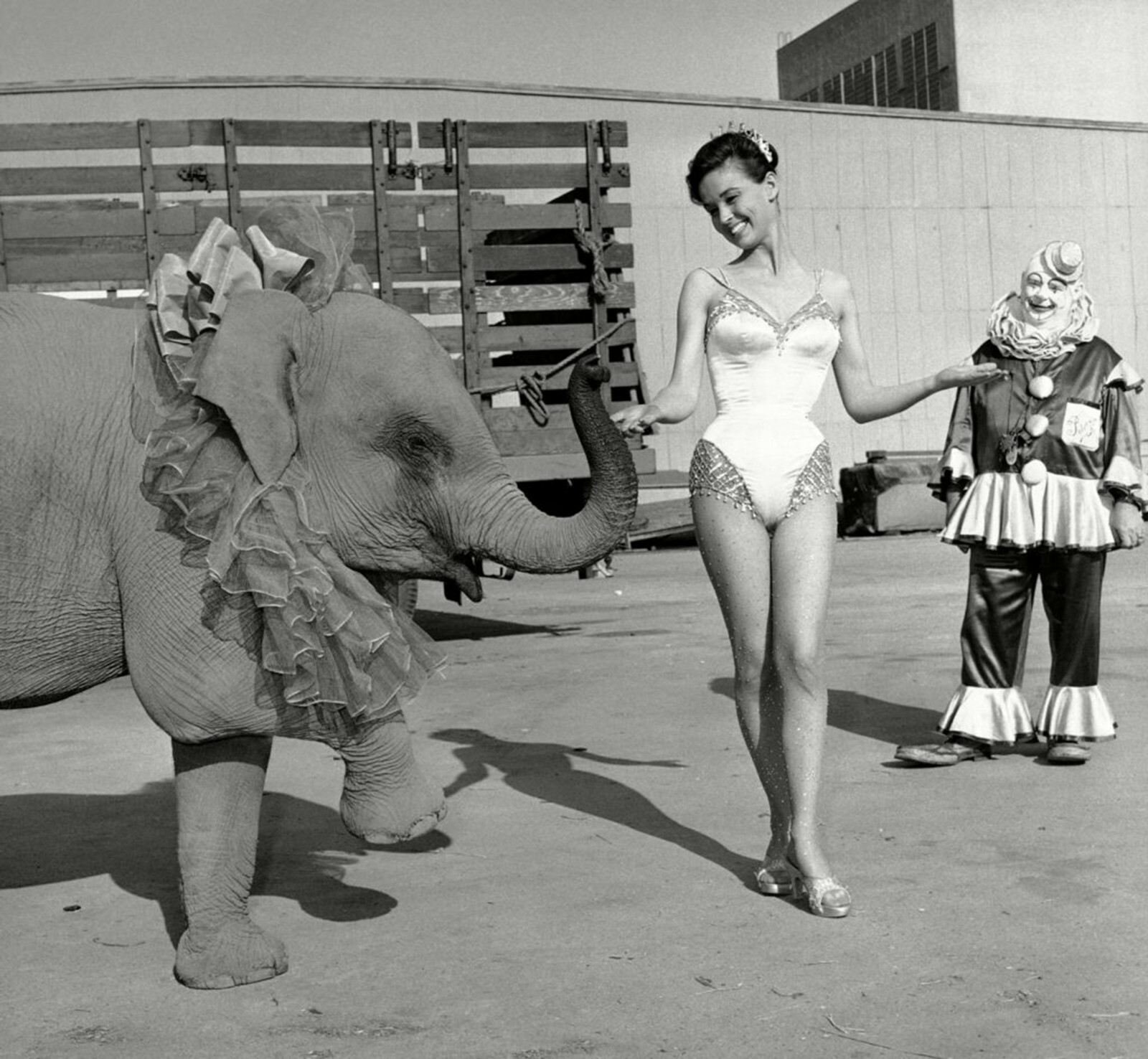 Circus, Clown, Carnivals, Posters, vintage 4" x 6" photo reprint Quality 180