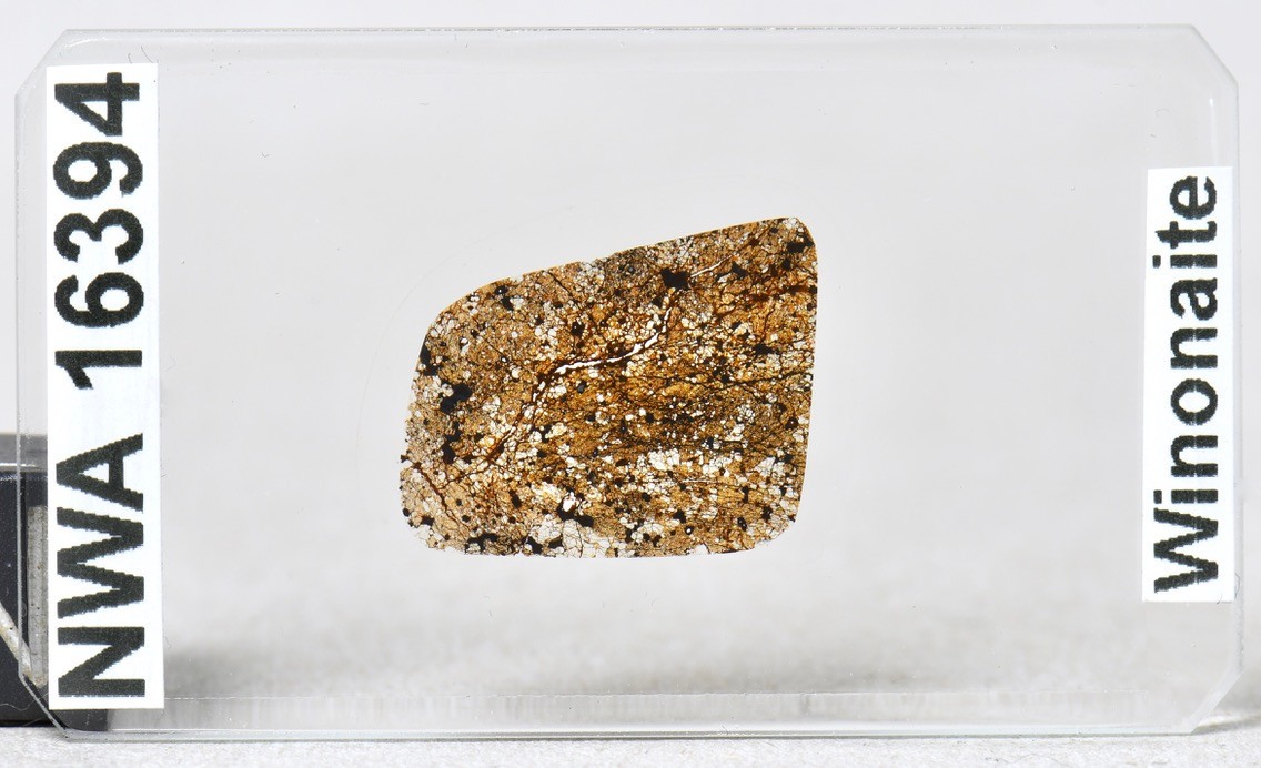 Meteorite NWA 16394 - rare WINONAITE Achondrite Microscope Slide Thin Section
