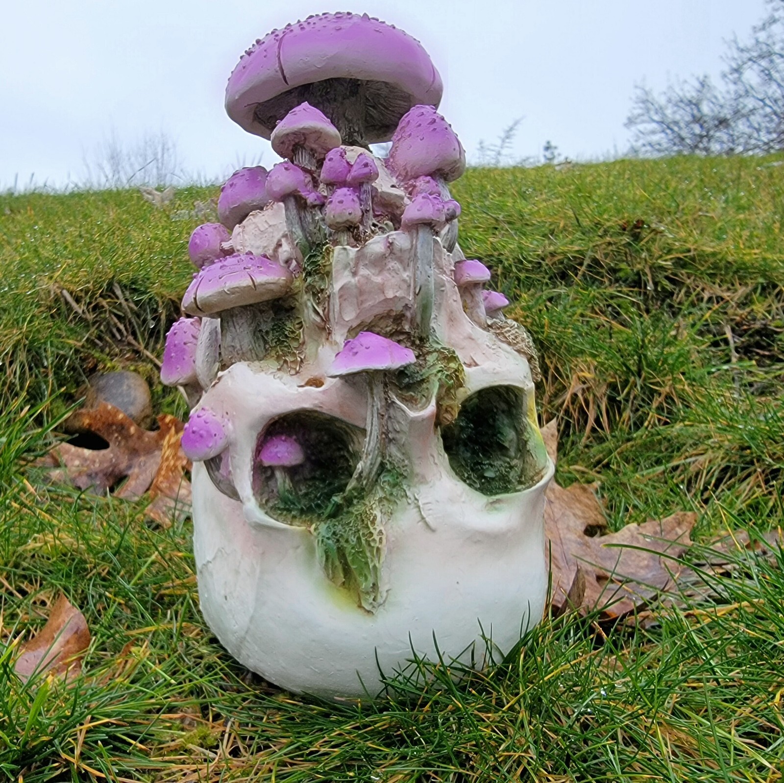 Mushroom skull, violet webcap, goblincore, oddities decor