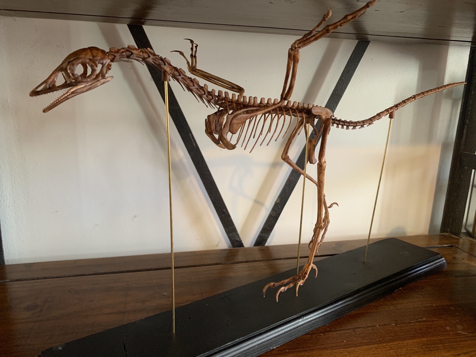Dinosaur/Replica Skeleton Archaeopteryx of 23 5/8in Base Wood Black