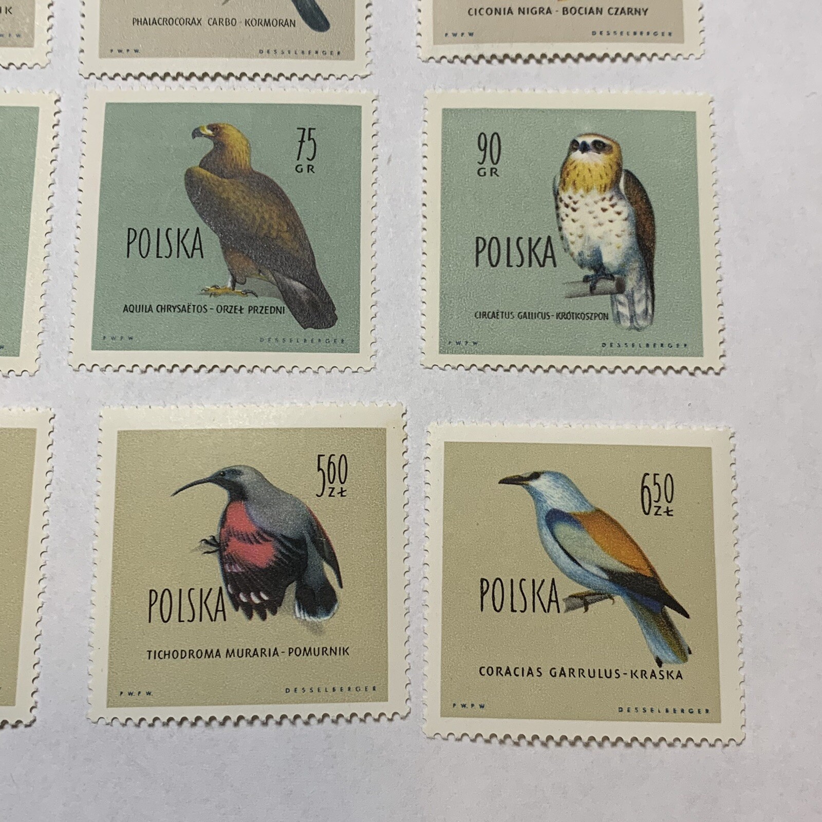 1960 POLAND MNH OG STAMP #935-946 COMPLETE SET PROTECTED BIRDS