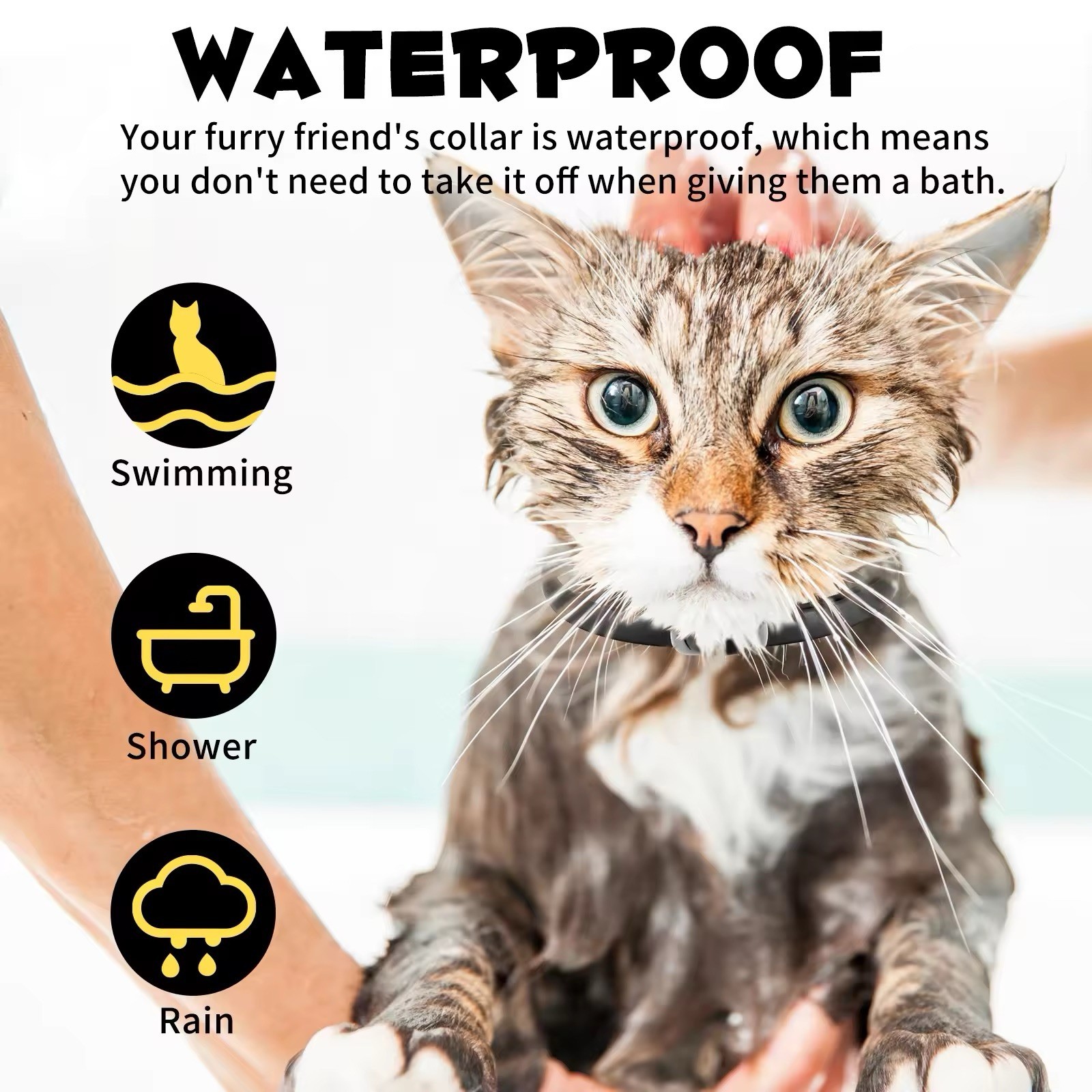 Cat Flea Collar Treatment Pet Adjustable 24 Month Protection 4 PACK black COLLAR