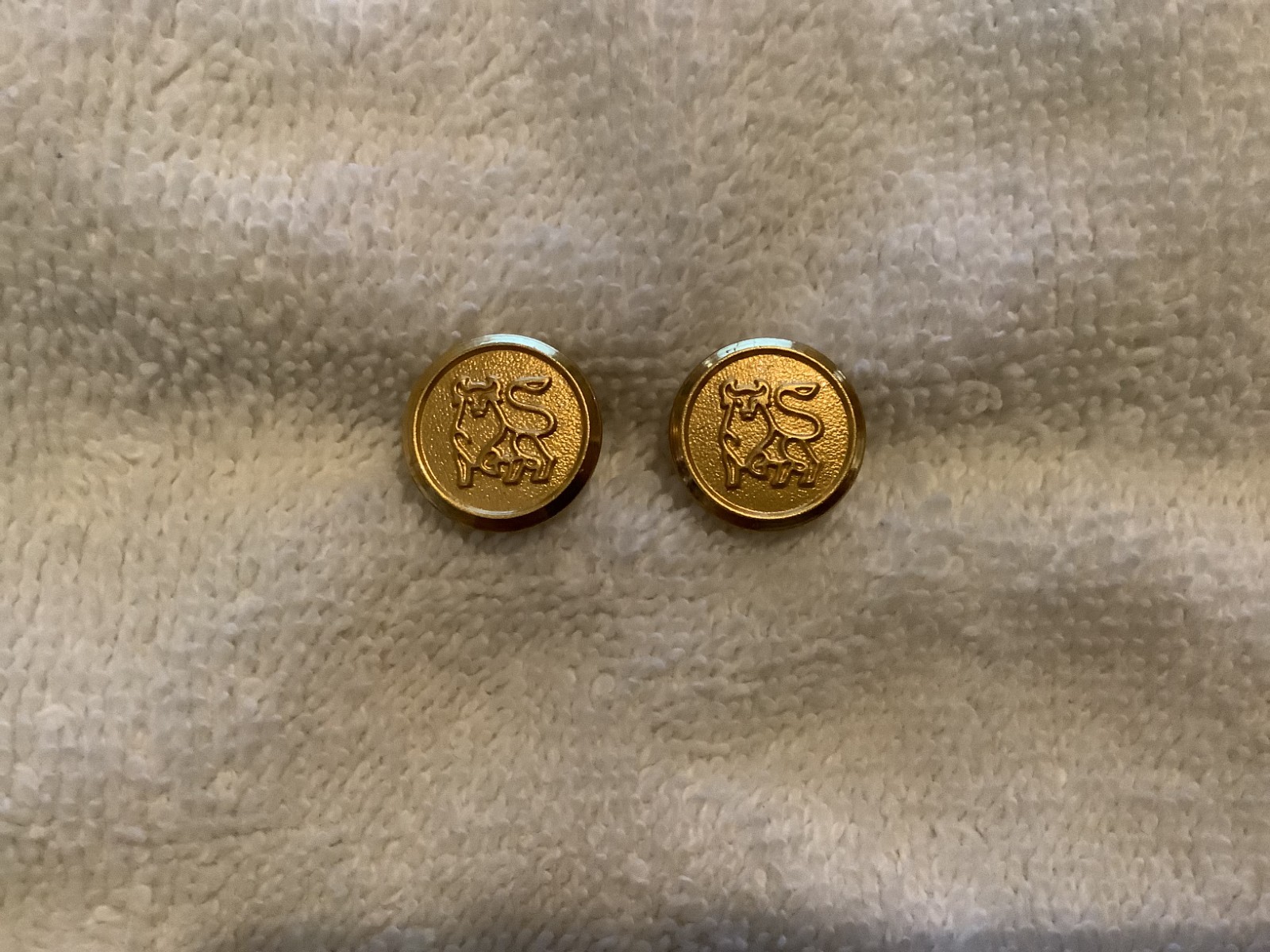 Lot of 10 Vintage Merrill Lynch Bull Logo Jacket Buttons Waterbury Co.