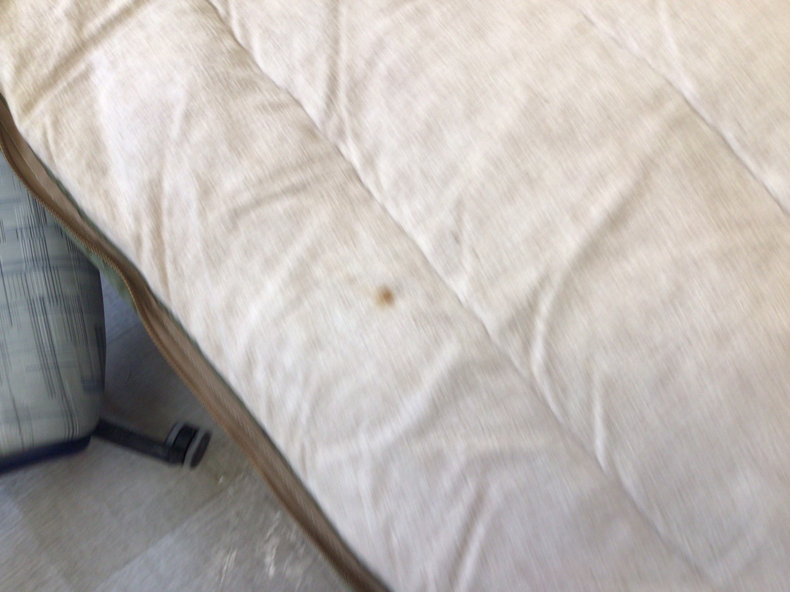 Woods Arctic Sleeping Bag / Alaska Sleeping Bag, Trail