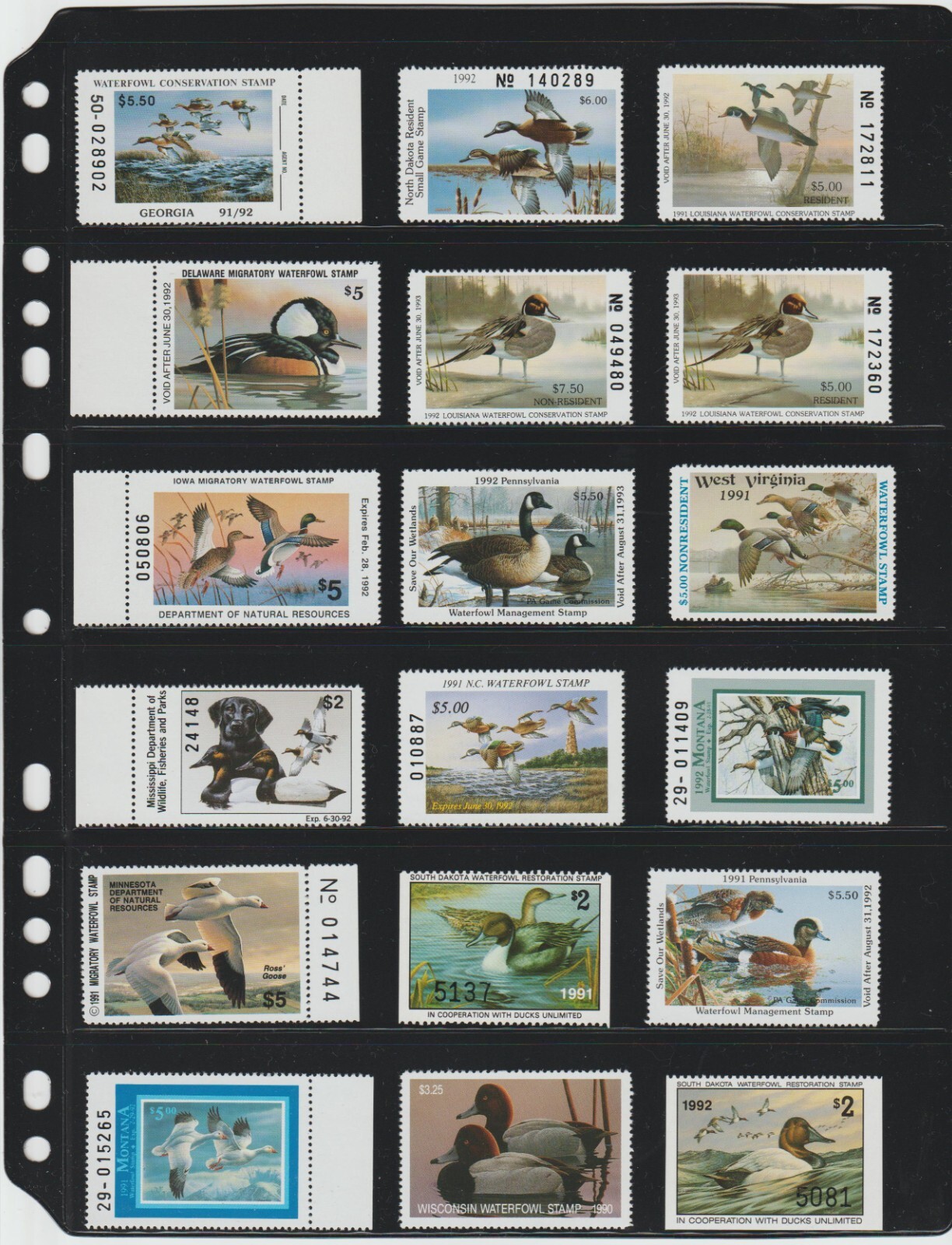 NEW ANCHOR 25 Stock Pages 6S (6-rows) Black stock sheets- double sided...