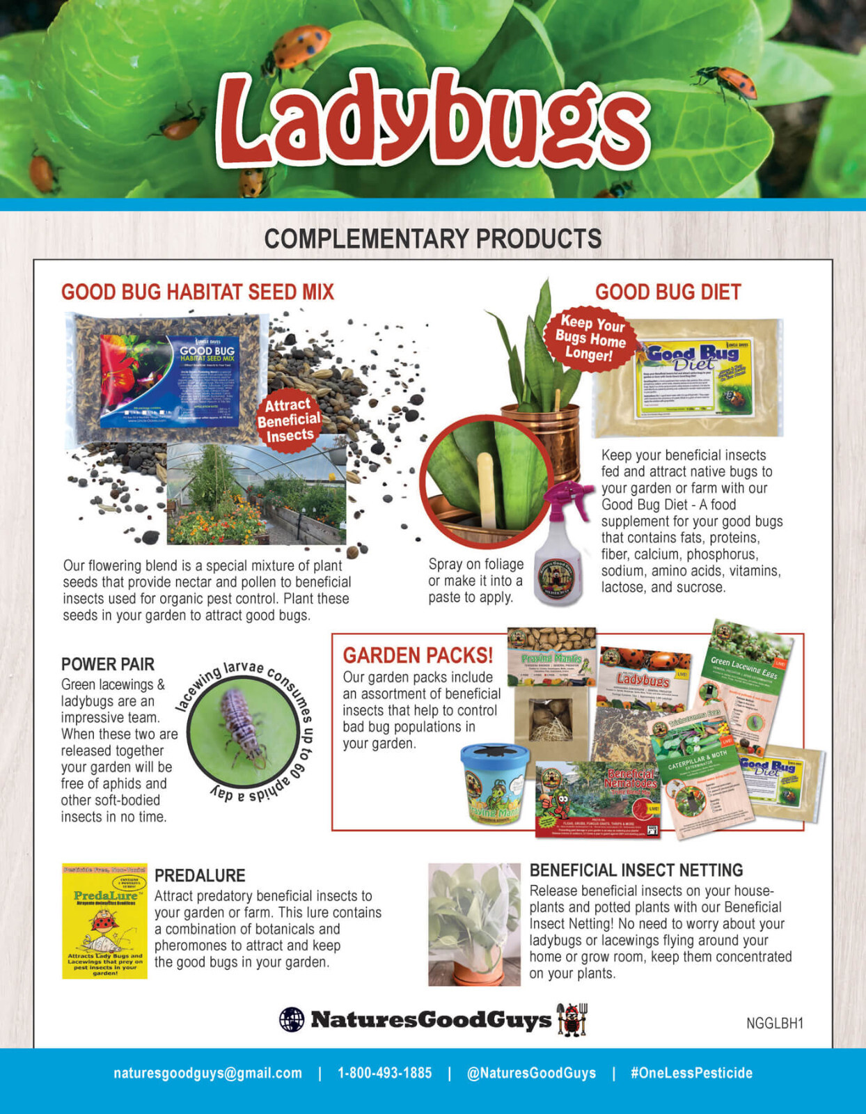300 Live Ladybugs - General Predator - Guaranteed Live Delivery!